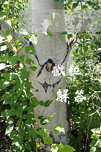 微粒貸按時還款是否會逾期？求解答！